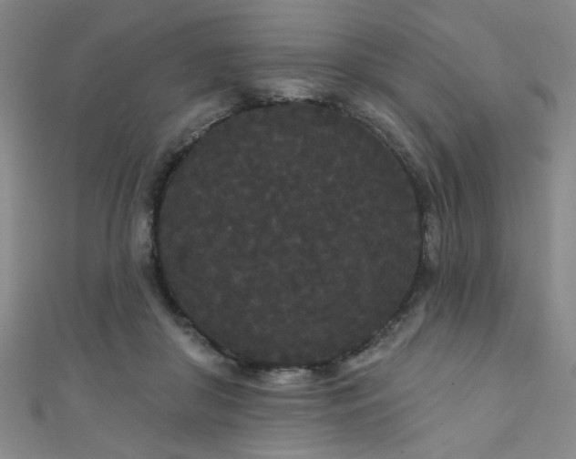 X0000111420410200907131206