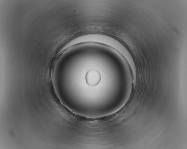 X0000111420411200907131206