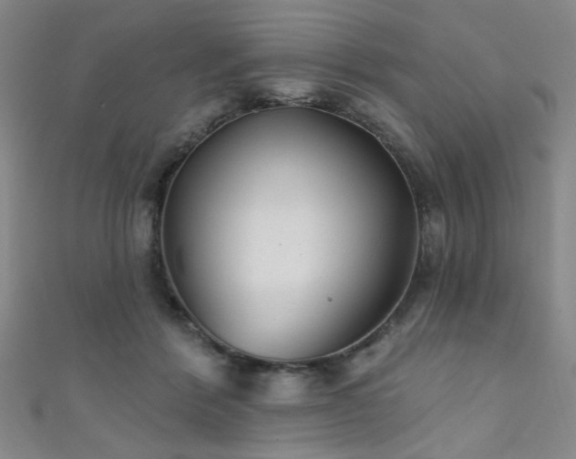 X0000111420412200907131206