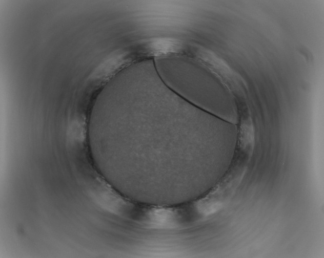 X0000111420413200907131206