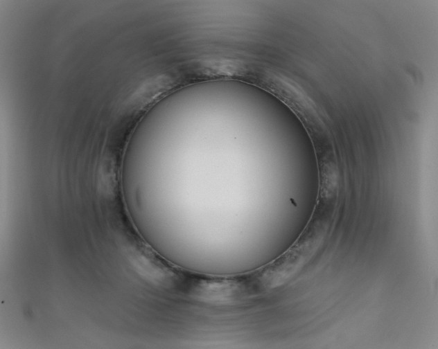 X0000111420414200907131206