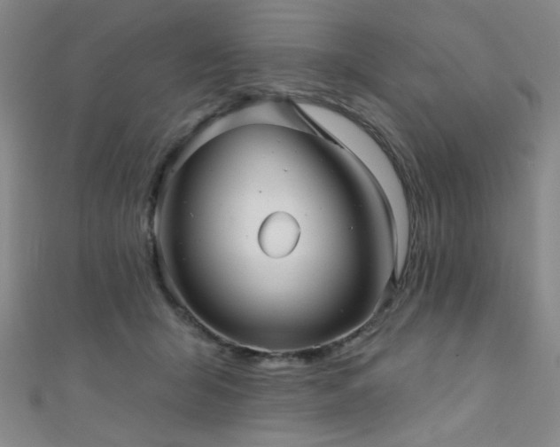 X0000111420415200907131206