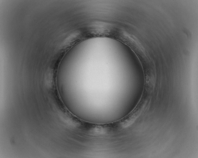 X0000111420416200907131206