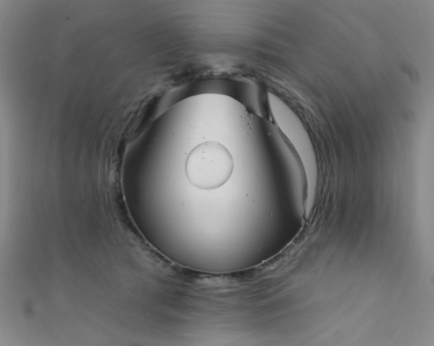 X0000111420417200907131206