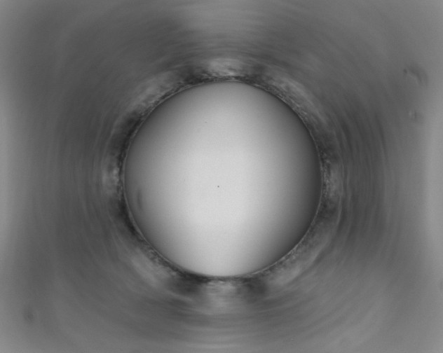 X0000111420418200907131206