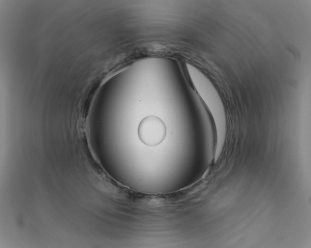 X0000111420419200907131206