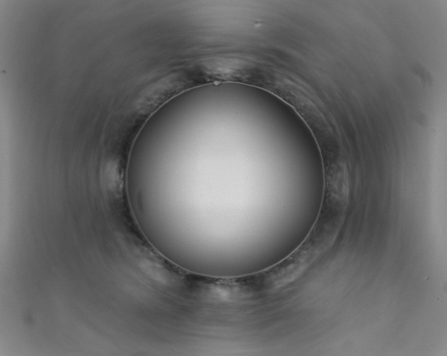 X0000111420420200907131206