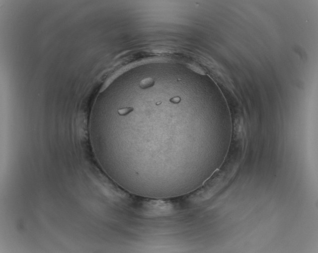 X0000111420421200907131206