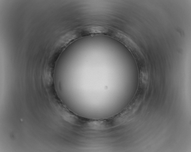 X0000111420422200907131206