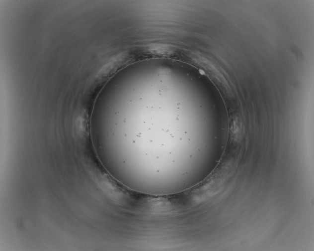 X0000111420424200907131206