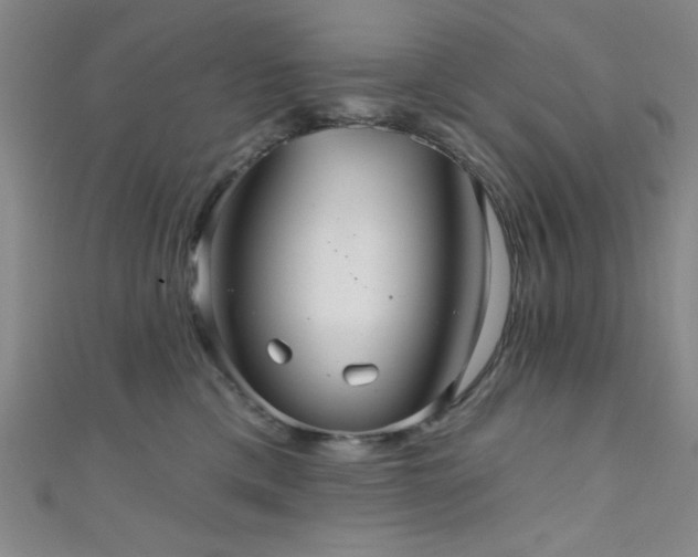 X0000111420425200907131206