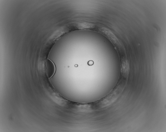 X0000111420426200907131206