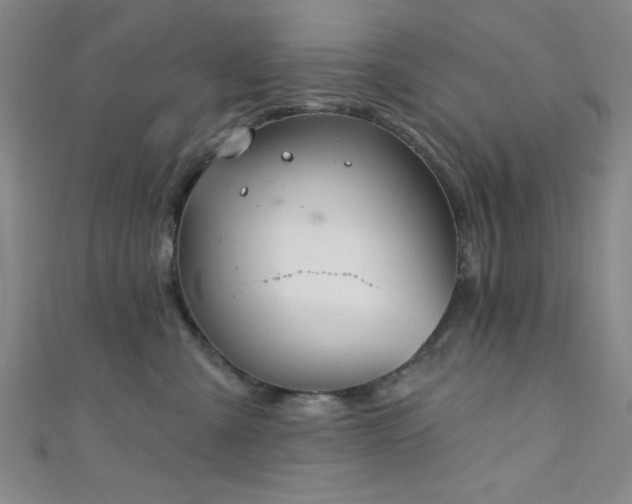 X0000111420427200907131206