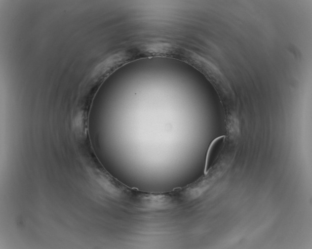 X0000111420428200907131206