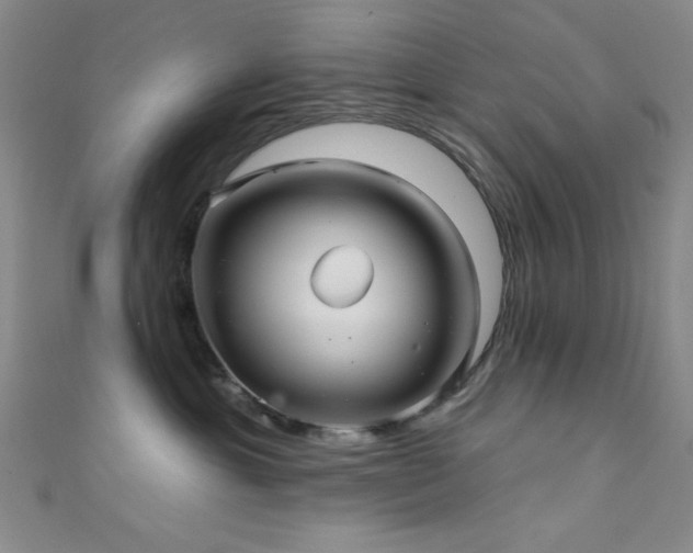 X0000111420429200907131206