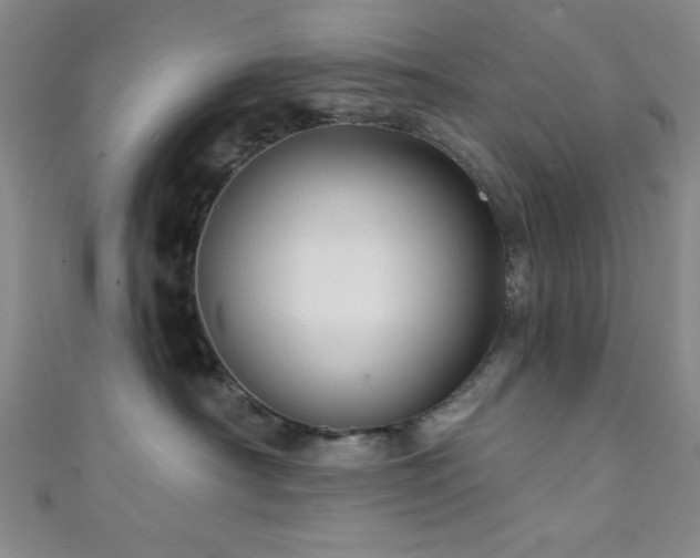 X0000111420430200907131206