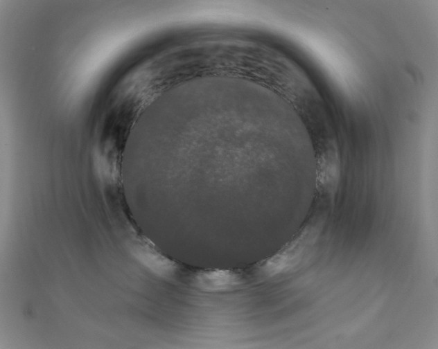 X0000111420431200907131206