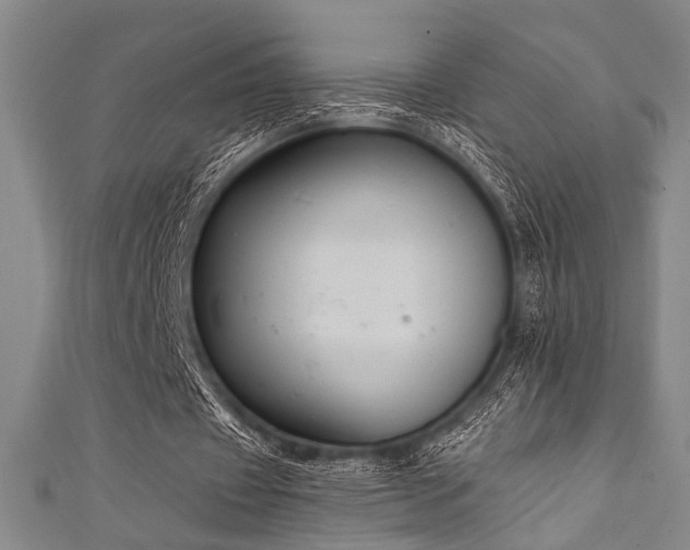 X0000111420433200907131205