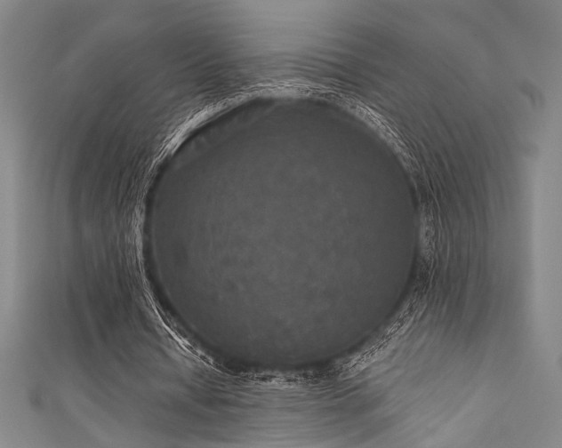 X0000111420434200907131205