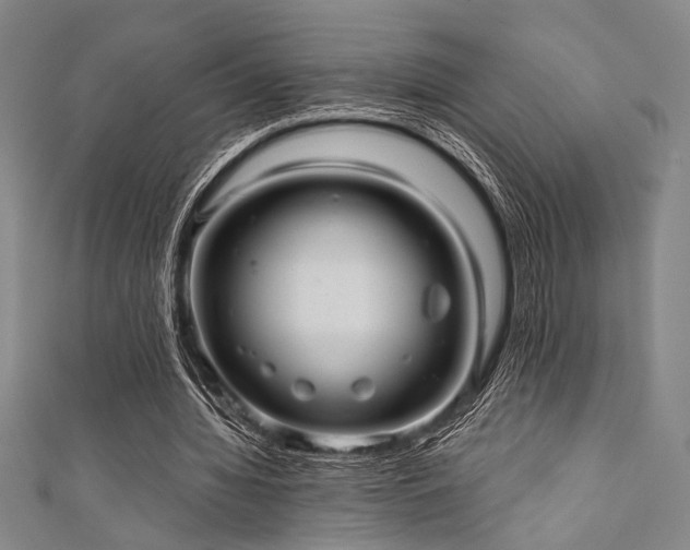 X0000111420436200907131205