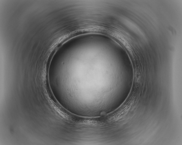 X0000111420437200907131205