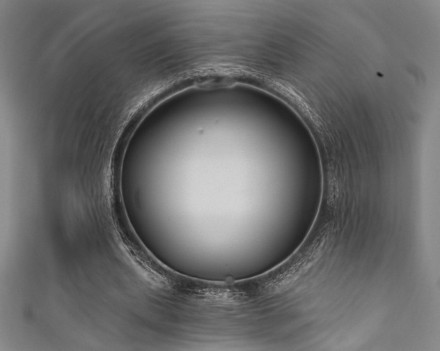 X0000111420439200907131205