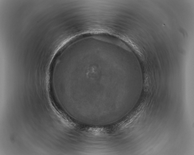 X0000111420440200907131205