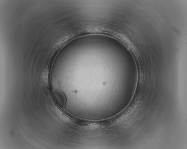 X0000111420441200907131205