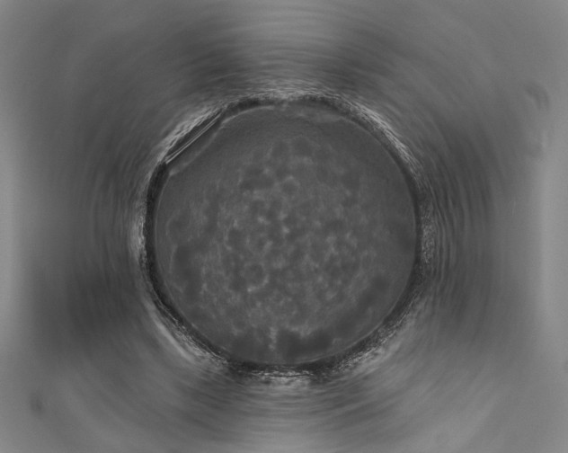 X0000111420443200907131205