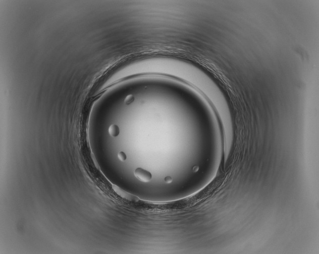 X0000111420444200907131205