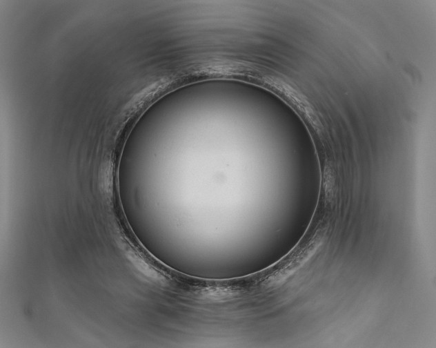 X0000111420445200907131205