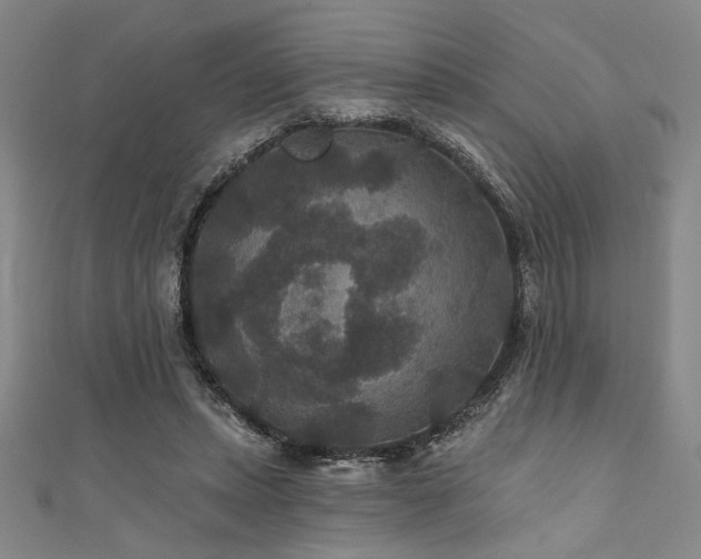 X0000111420447200907131205