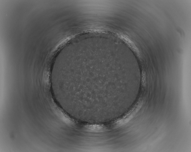 X0000111420449200907131205