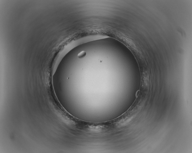 X0000111420450200907131205