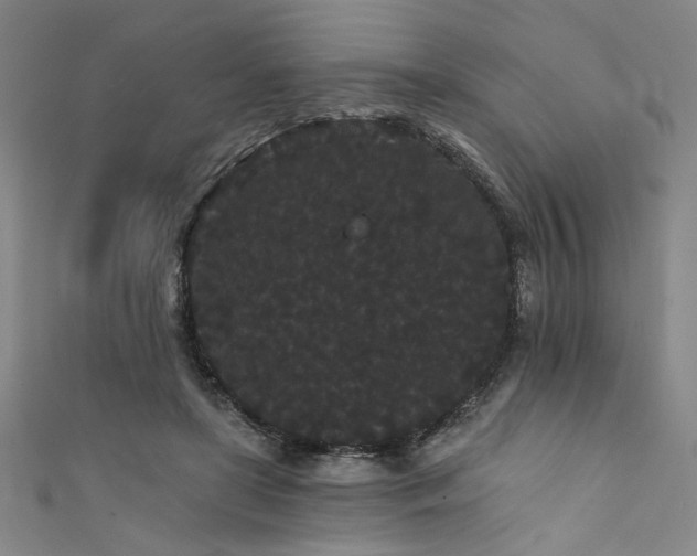 X0000111420451200907131205