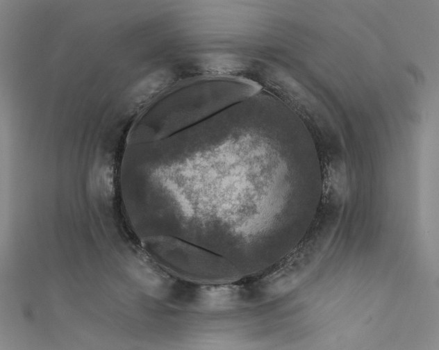 X0000111420452200907131205