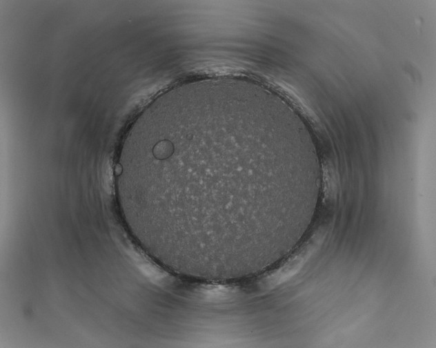 X0000111420453200907131205