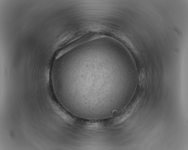 X0000111420454200907131205