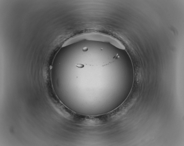 X0000111420455200907131205