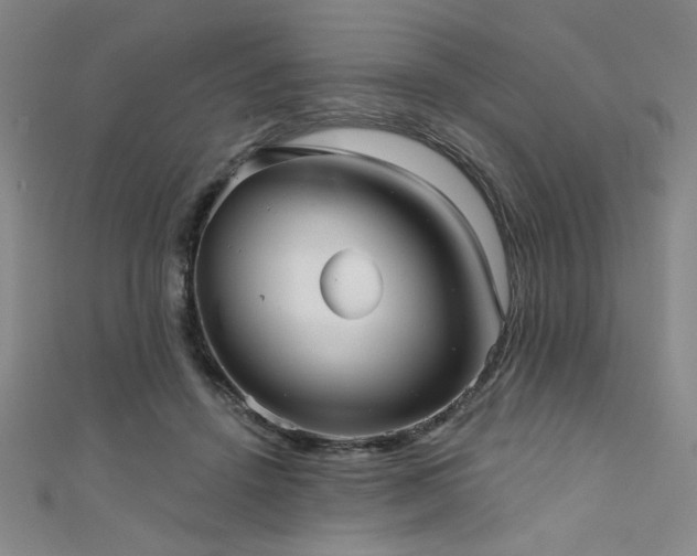 X0000111420456200907131205