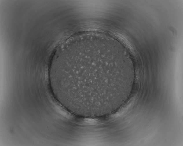 X0000111420457200907131205