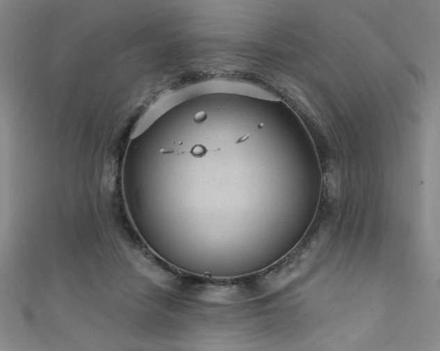 X0000111420458200907131205