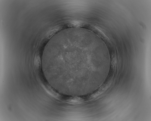 X0000111420459200907131205