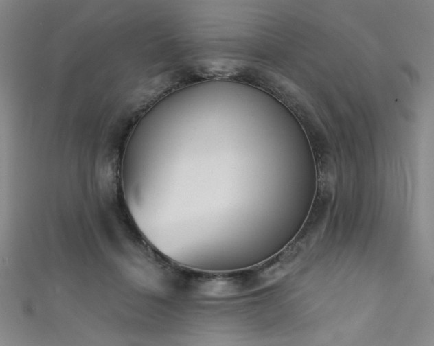 X0000111420460200907131205