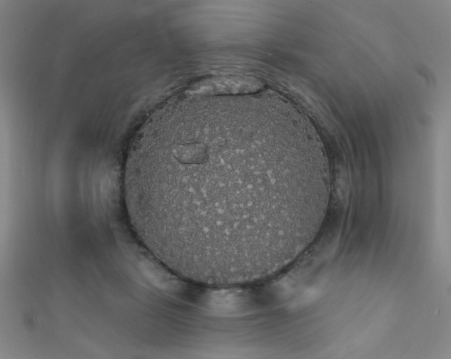 X0000111420461200907131205