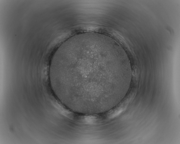 X0000111420462200907131205