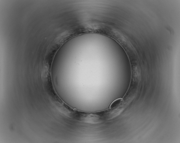 X0000111420463200907131205