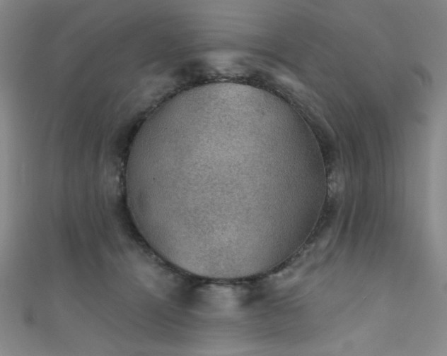 X0000111420464200907131206