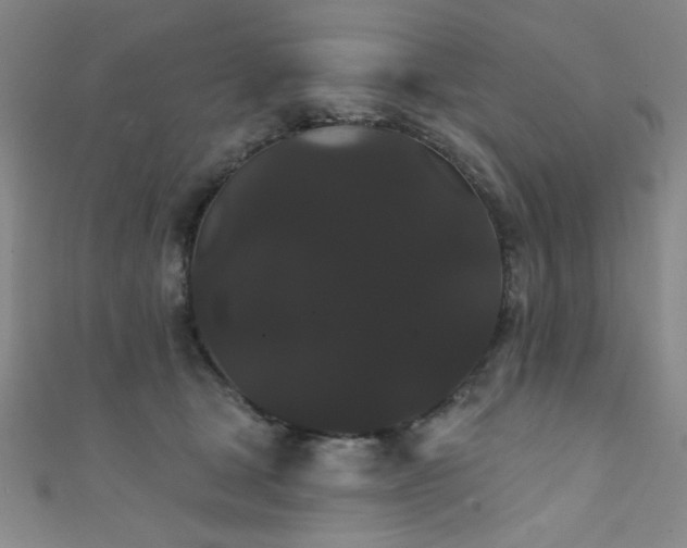 X0000111420465200907131206