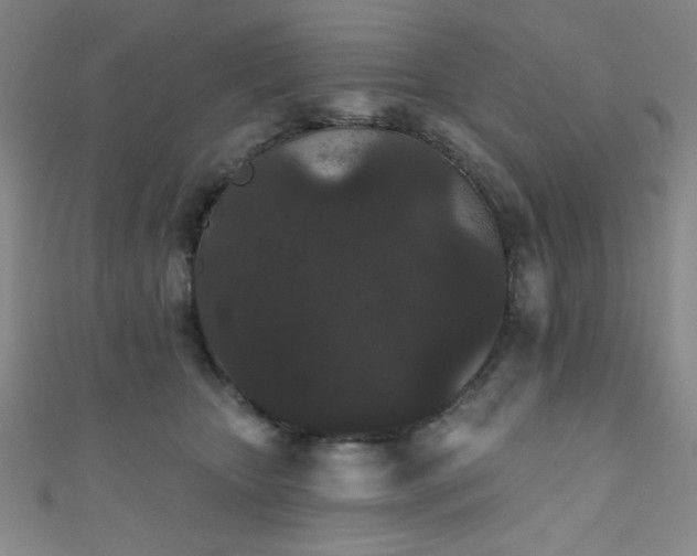 X0000111420467200907131206